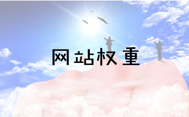 网站权重是什么