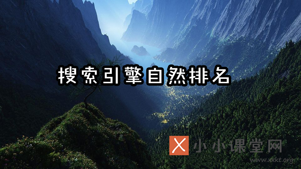 搜索引擎自然排名