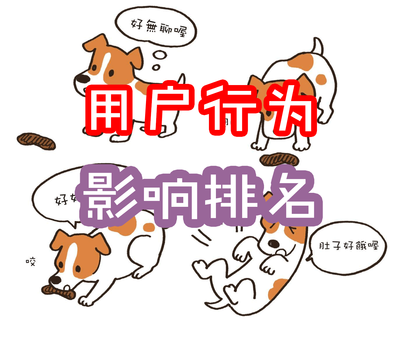 SEO观察