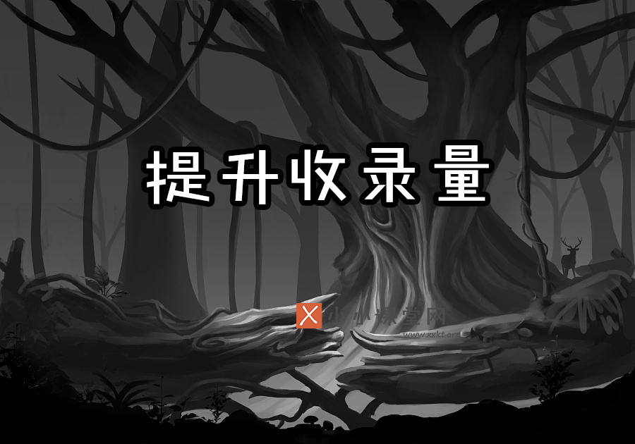 网站权重优化