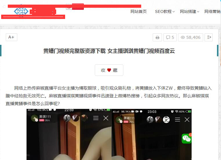 网站文章引导非法下载