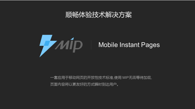 MIP技术