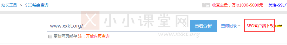 杭州seo培训方法四：站长之家之SEO客户端
