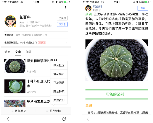花百科