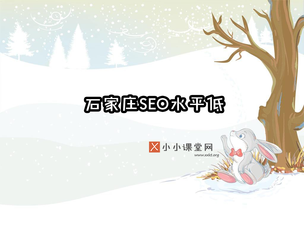 石家庄网络公司