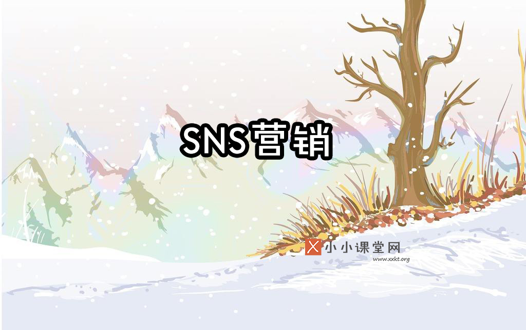 sns营销
