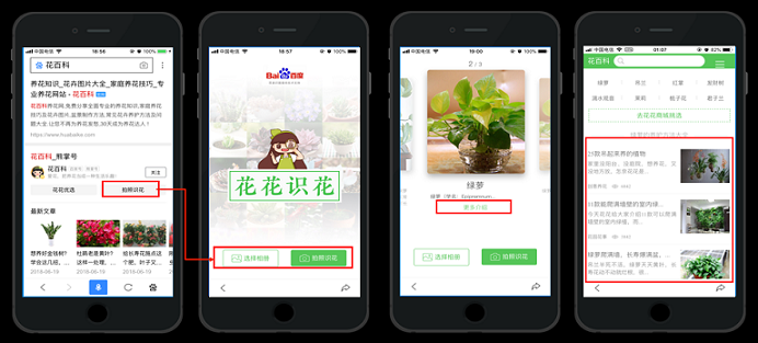 AI识别花
