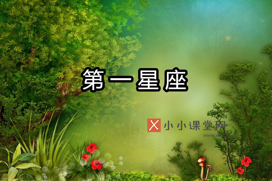第一星座
