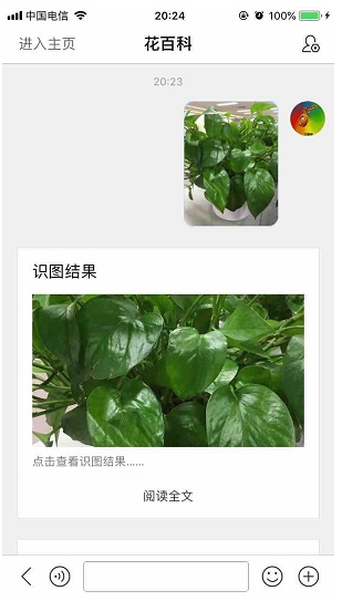 IM对话页的智能客服能力