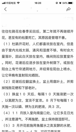 技术文章
