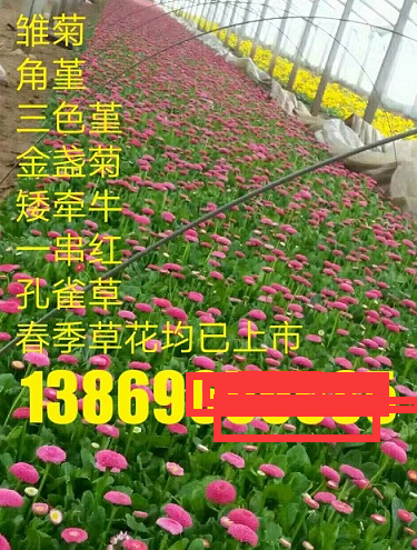配图图片受益