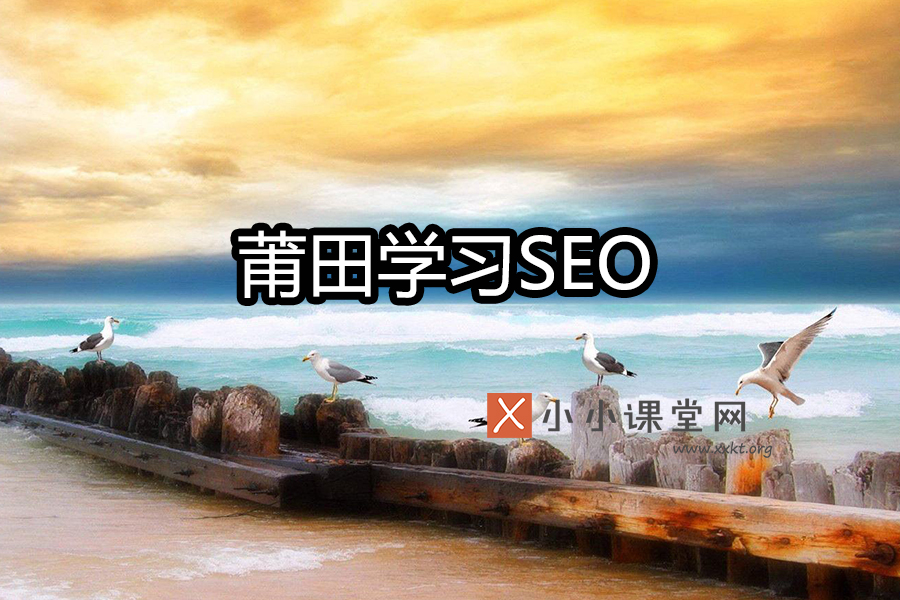 莆田哪里可以学习seo