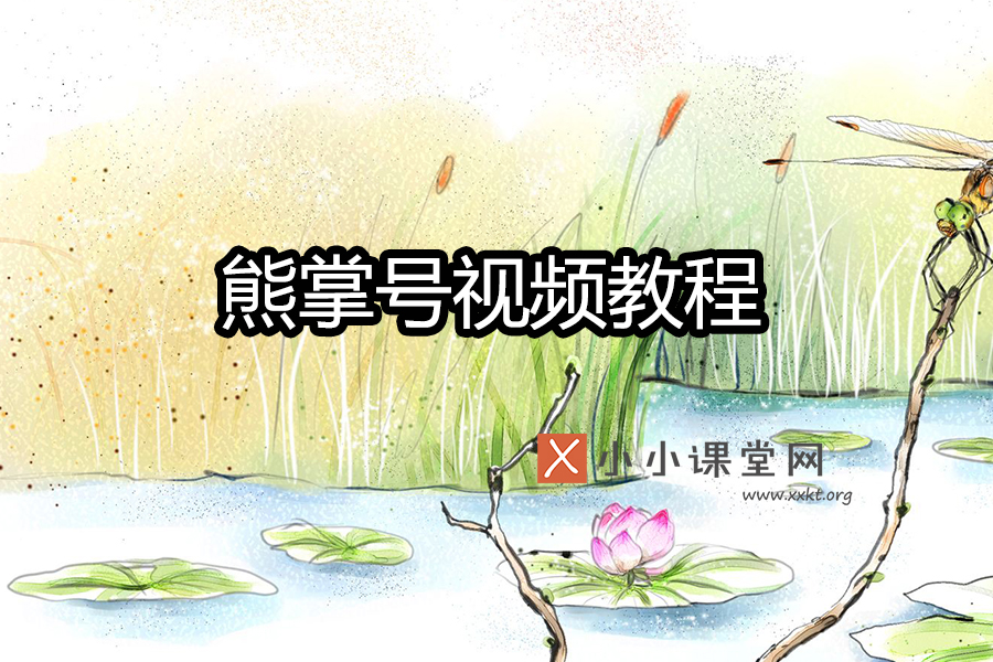 熊掌号视频教程