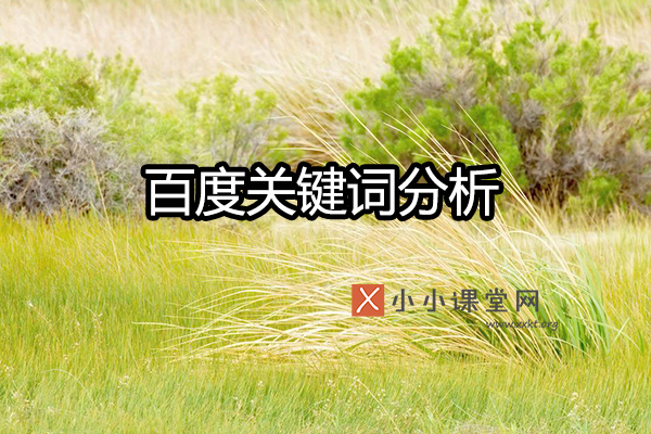 百度关键词分析