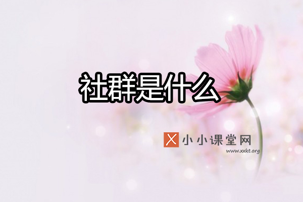 社群是什么意思