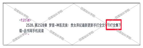 源码中标题欺骗