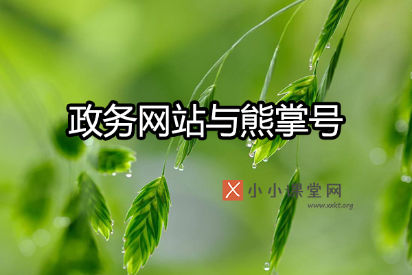 政务网站
