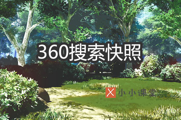 360搜索快照