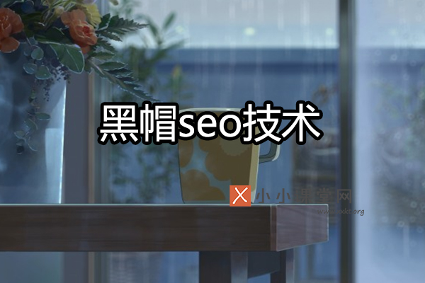黑帽seo技术