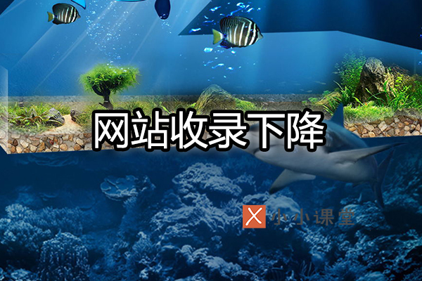 网站收录量下降