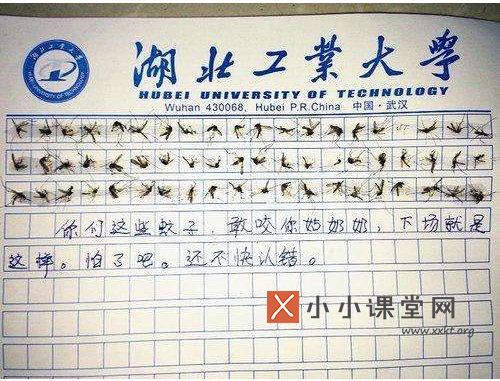 从60只蚊子写作文