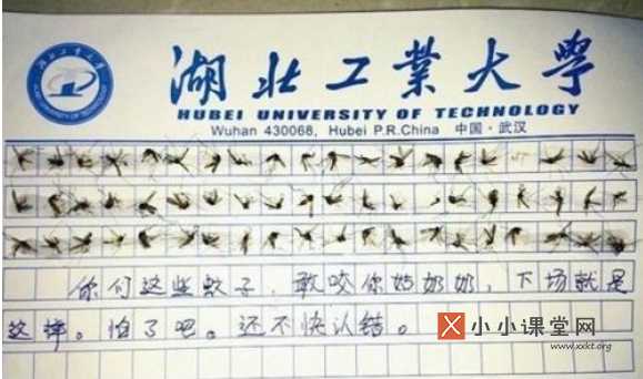 从60只蚊子写作文