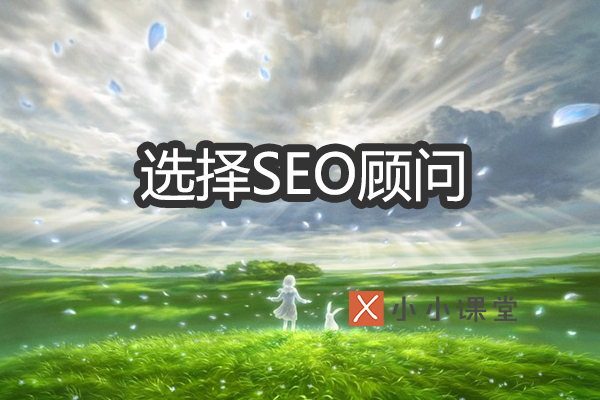 如何选择SEO顾问