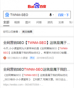 TWNM-SEO
