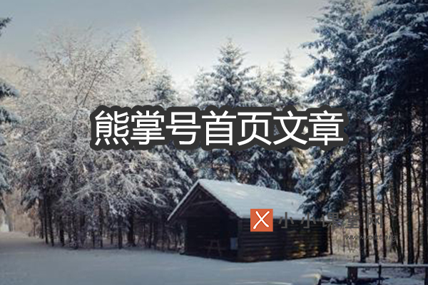 网站文章如何出现在熊掌号主页