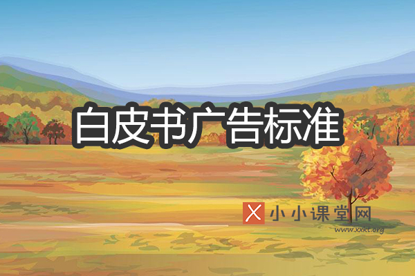 白皮书广告标准
