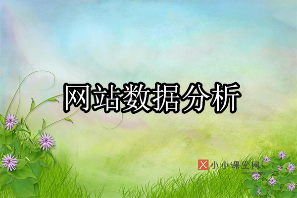 网站数据分析