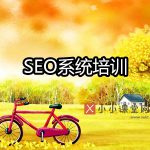 seo系统培训