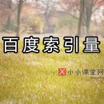 百度索引量
