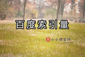 百度索引量