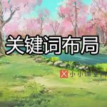 seo中关键词的布局原则