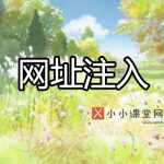 网址注入