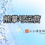 熊掌号运营方案