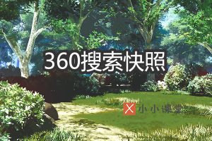 360搜索快照