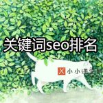 关键词seo排名