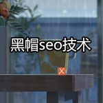 黑帽seo技术