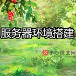 iis是什么