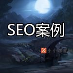 SEO案例