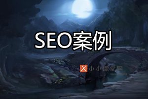 SEO案例