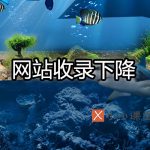 网站收录量下降