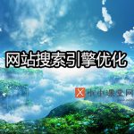 网站搜索引擎优化