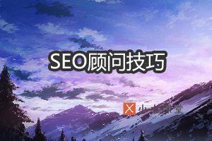 SEO顾问技巧