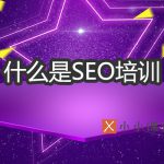 什么是SEO培训