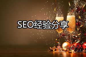 SEO经验分享