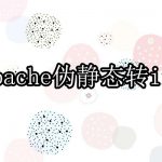 apache伪静态转为iis伪静态