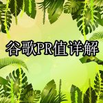 谷歌PR值
